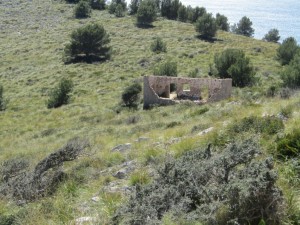 IMG_4486 (Medium)